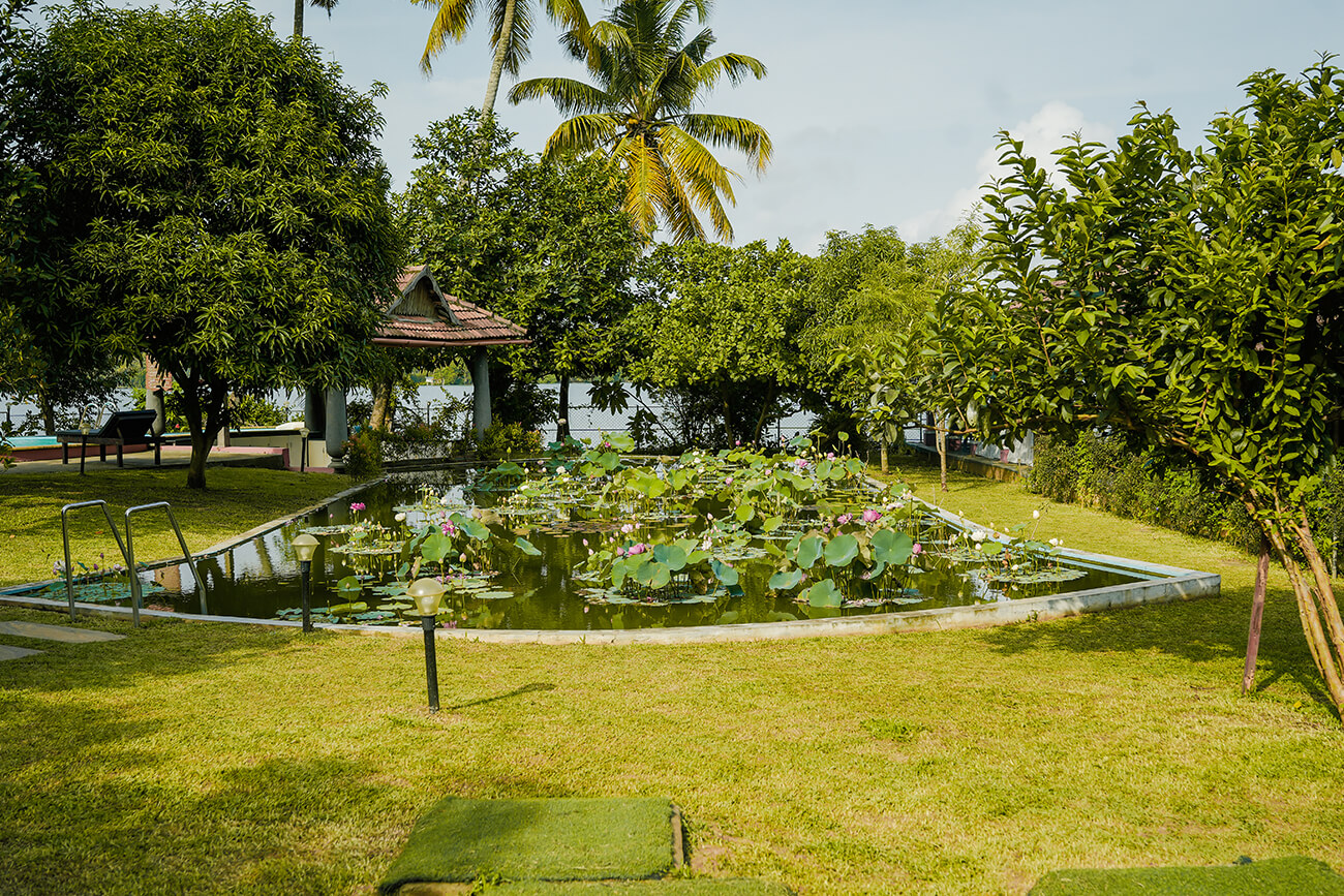 Akanta Ayurveda & Yoga Hermitage - A Holistic Ayurveda Resort