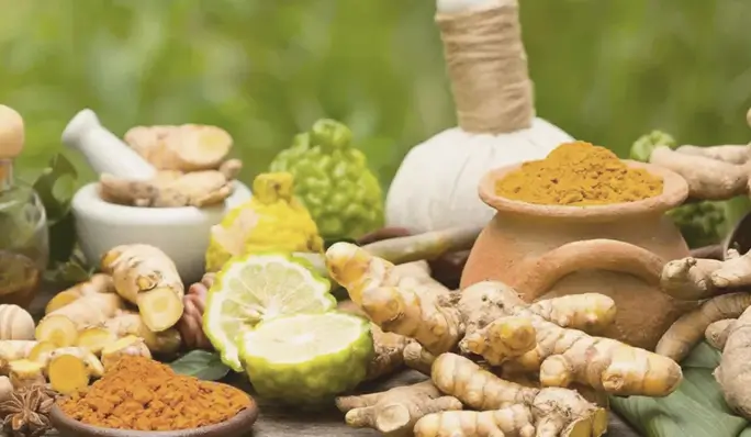 Auto-Immune (Minimum 21 Nights)